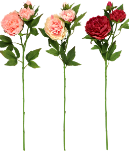6695 FLEURS DÉCO PFINGSTROSE 3P
